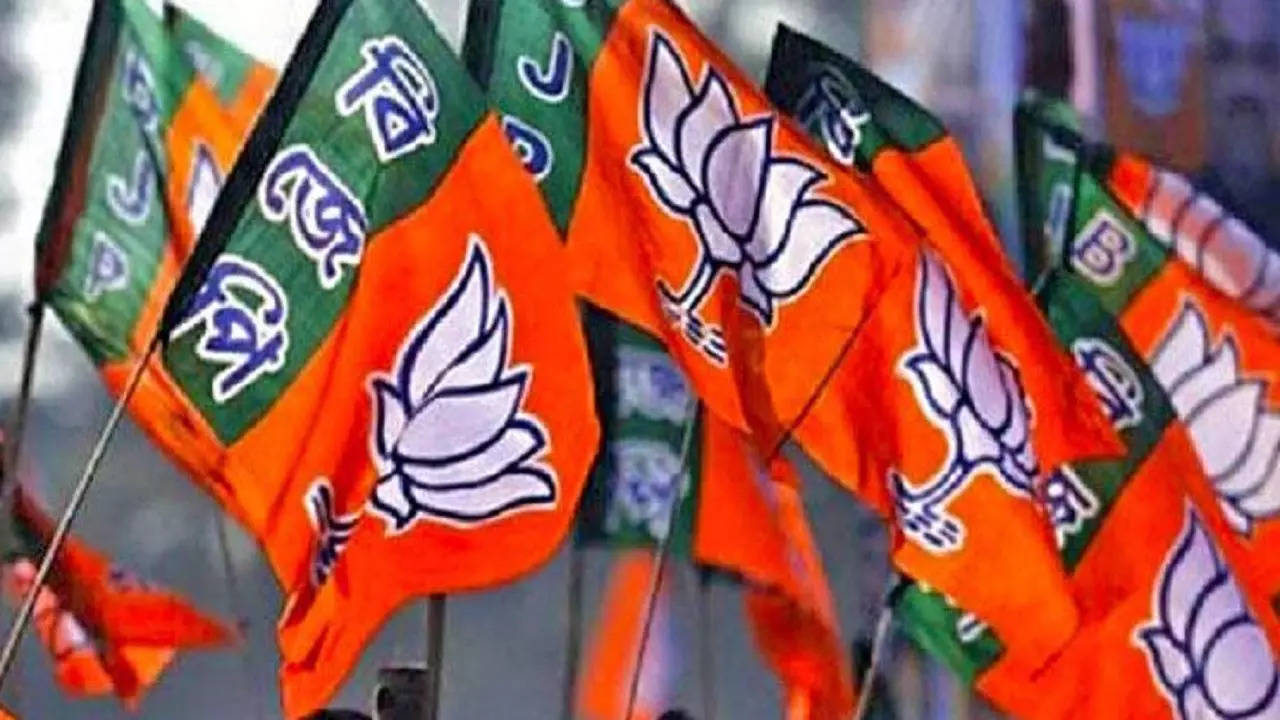 bjp flag