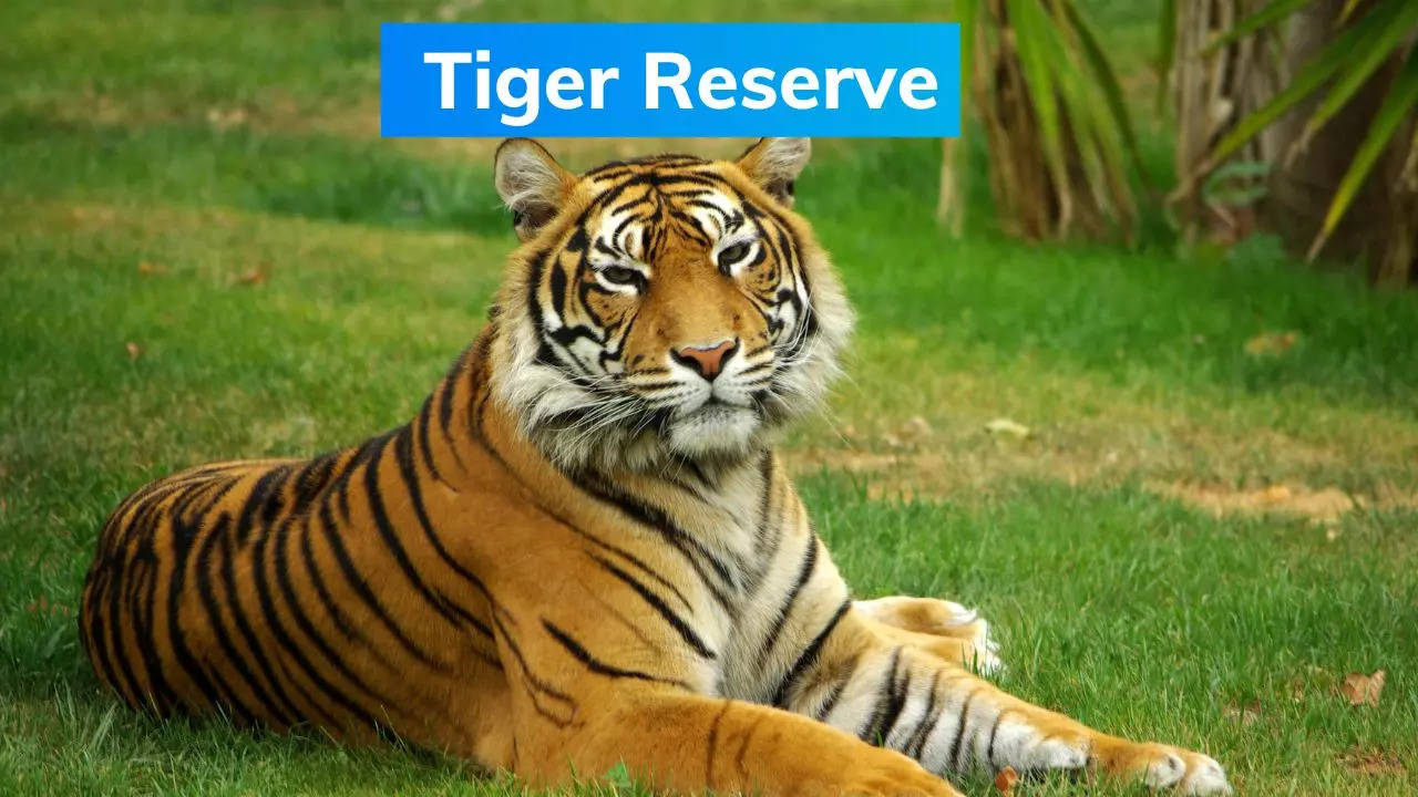 Kaimur Tiger Reserve