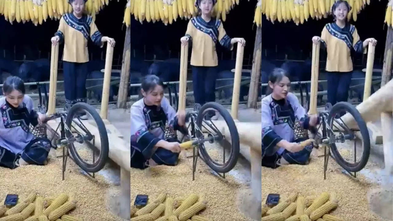 Corn Peeling Machine Jugaad