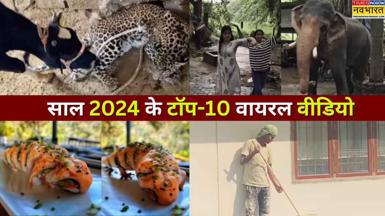 साल 2024 के टॉप-10 वायरल वीडियो।