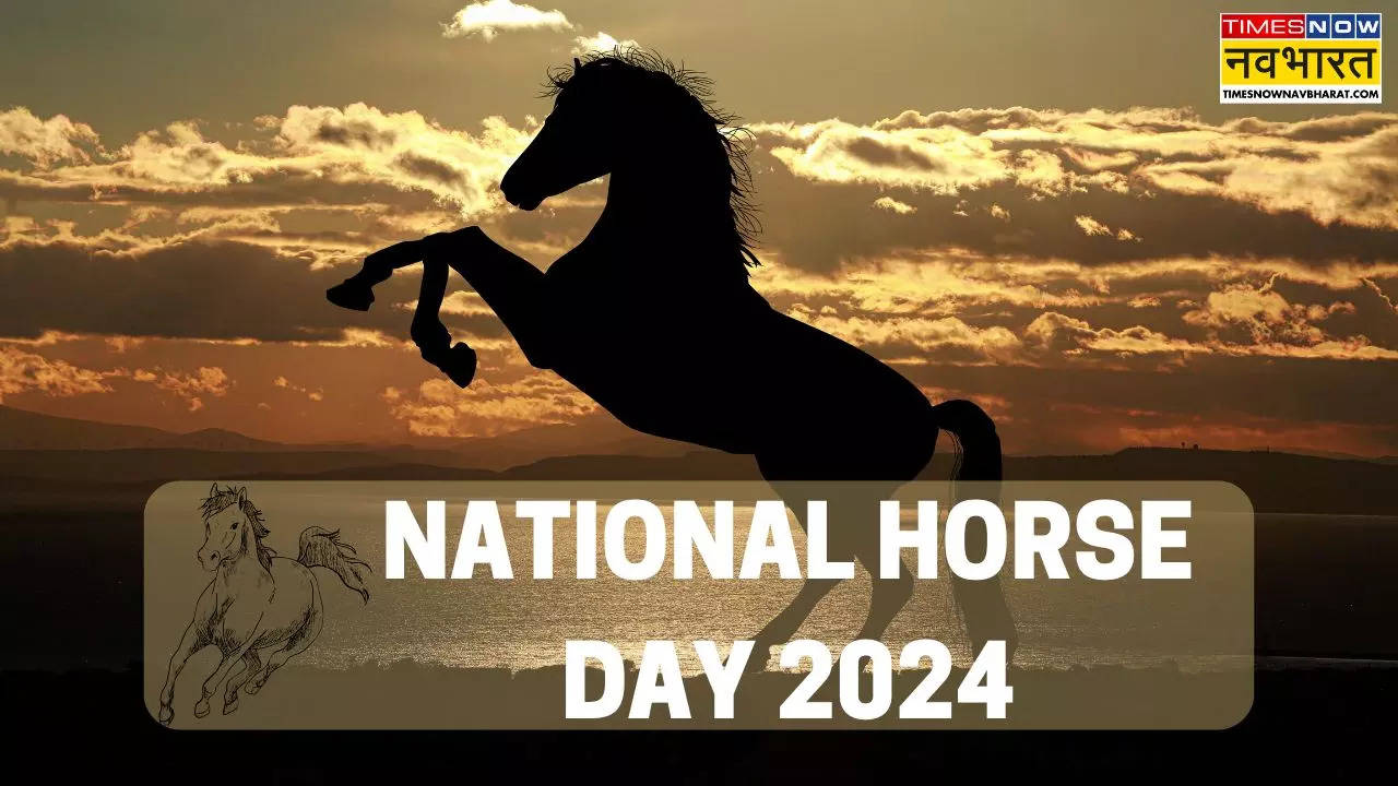 National Horse Day 2024