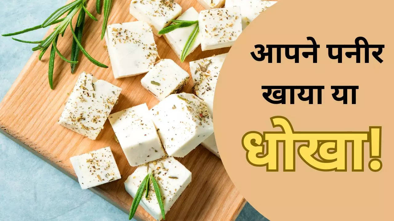 Nakli Paneer in hindi, Analogue Paneer meaning in Hindi