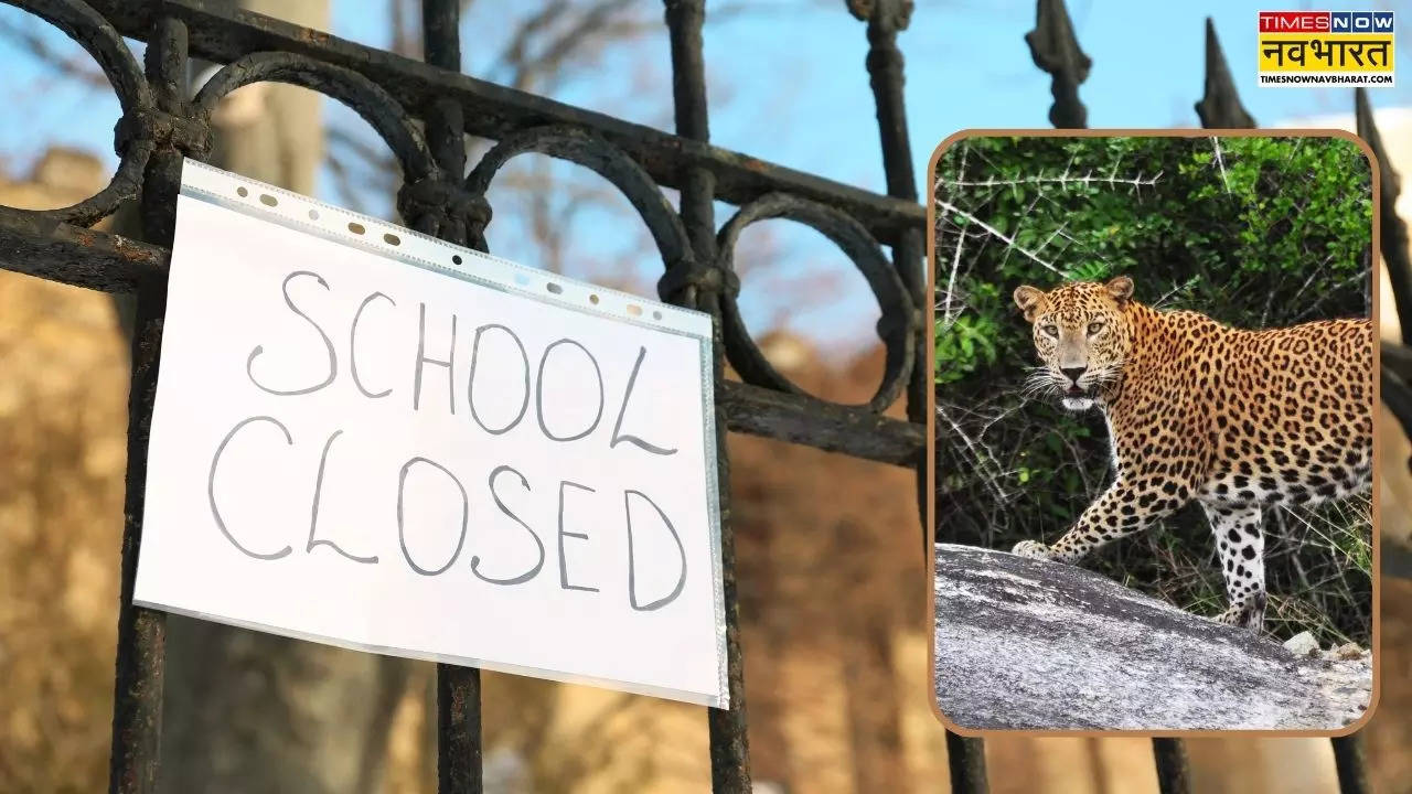 School in Bihar closed indefinitely amid ongoing leopard threat