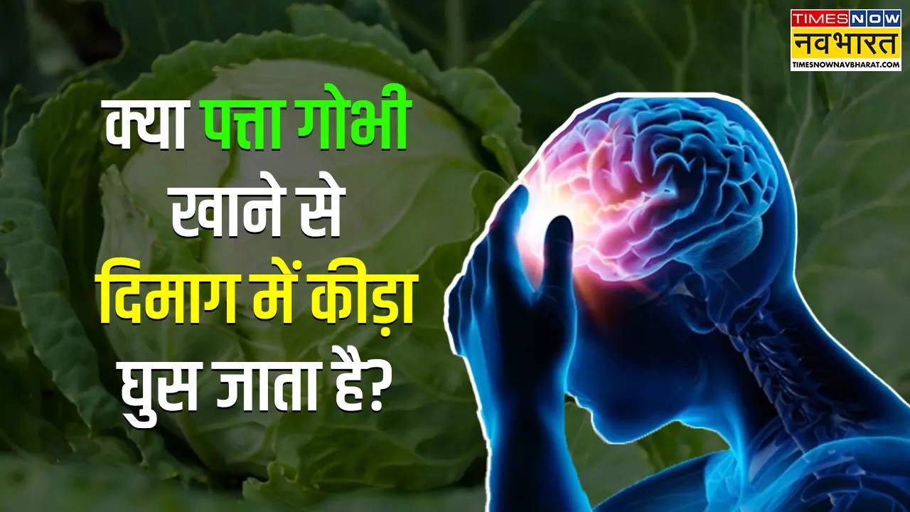 Can Cabbage Lead To Tapeworm In Brain