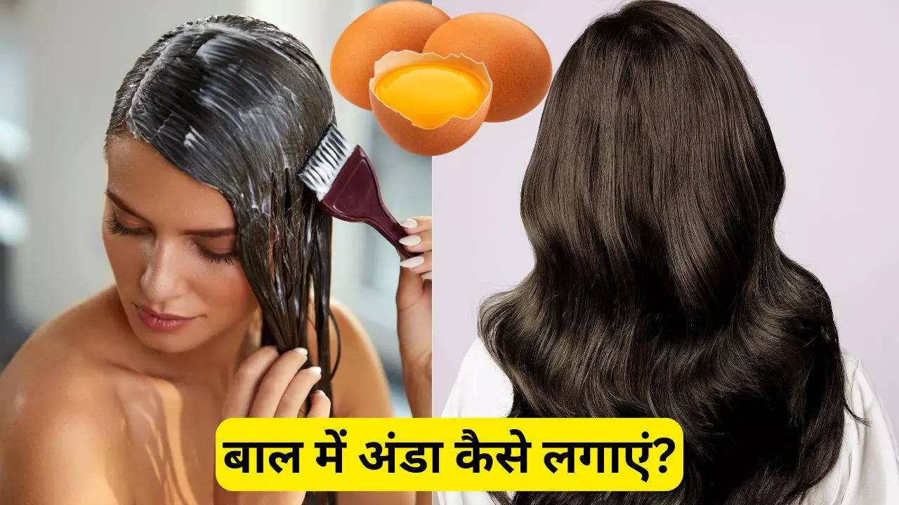 ways to use egg mask for hair growth in hindi