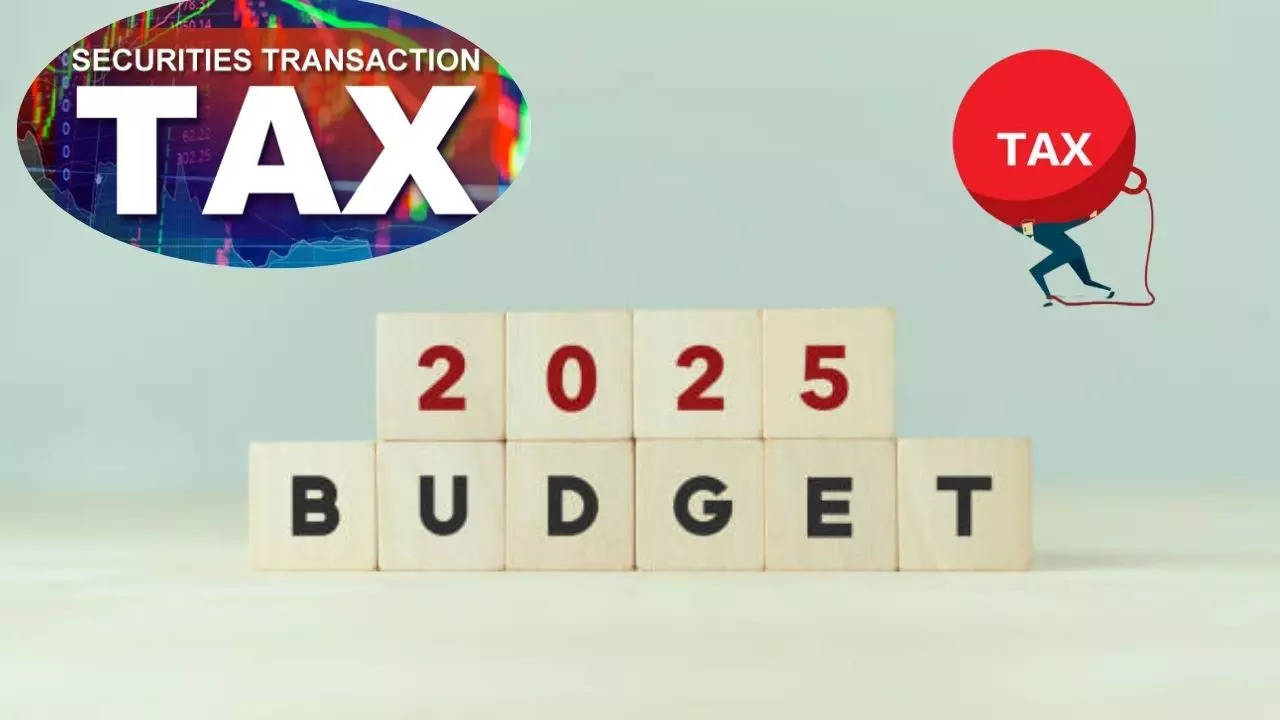 Budget 2025 Expectations