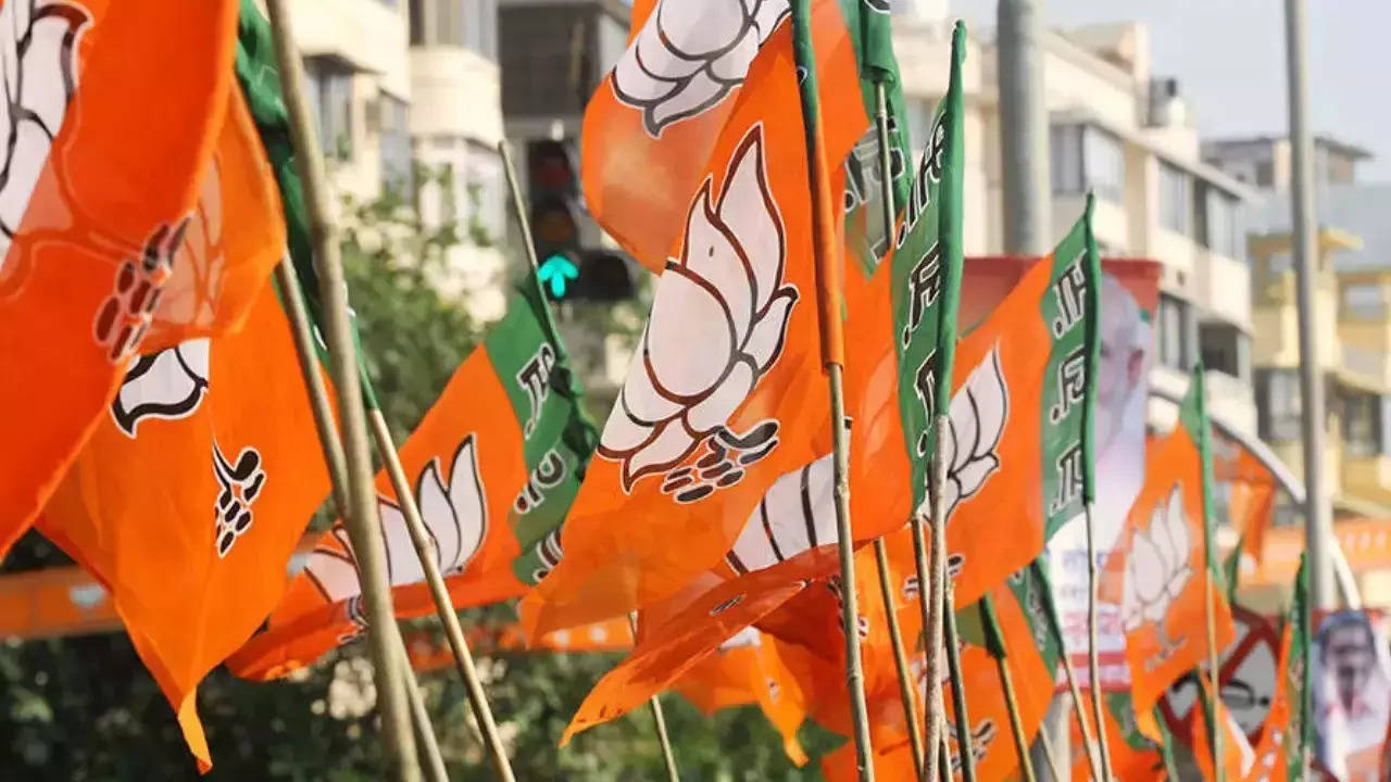 bjp flag