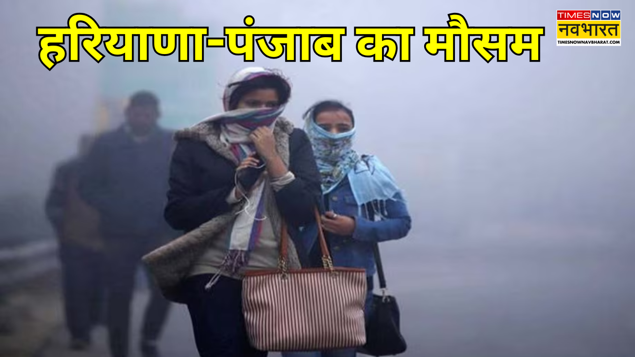 Punjab-Haryana Cold