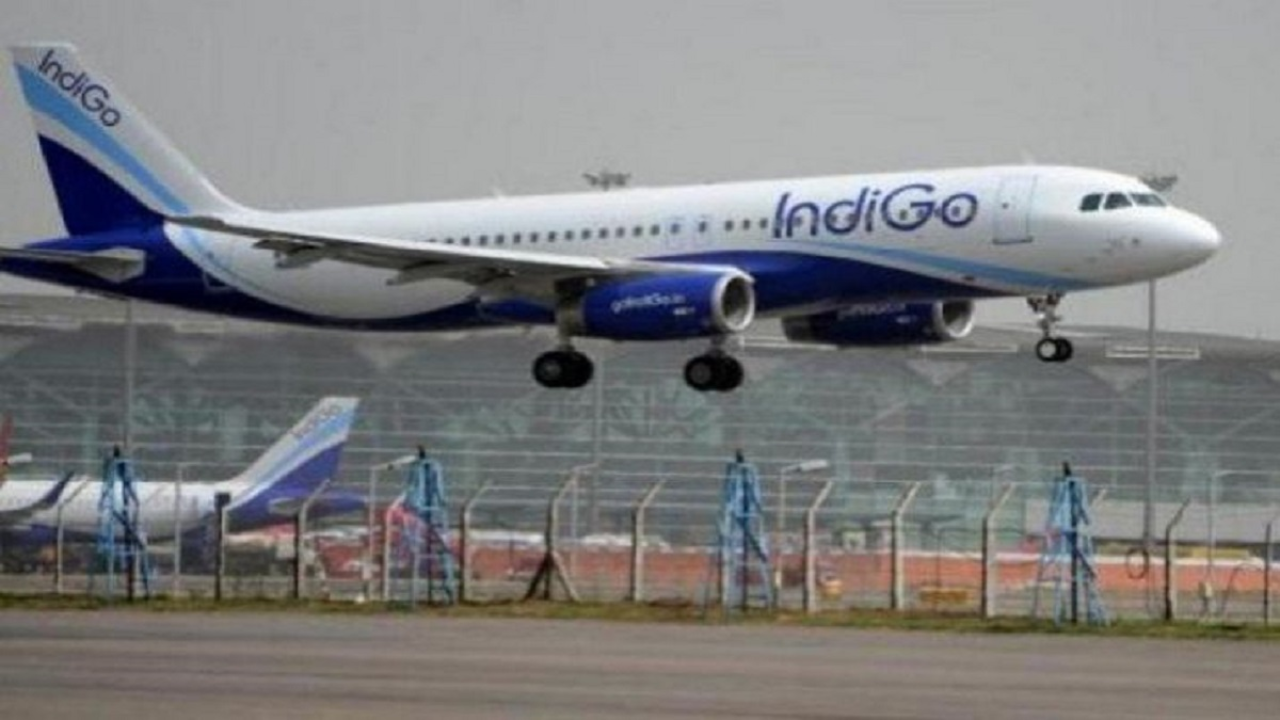 Indigo flight