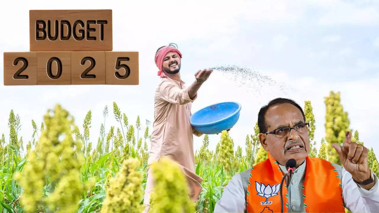 Agriculture Minister Shivraj Singh Chauhan, Review of Agricultural Schemes, Union Budget 2025