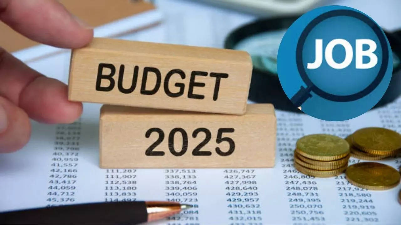 Budget 2025 Expectations