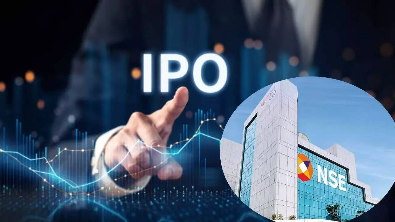 IPO in 2024