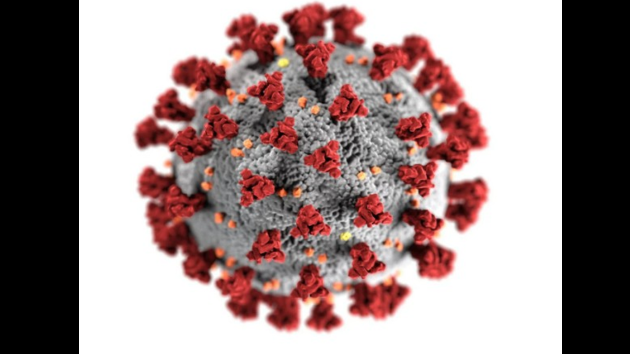 HMPV virus