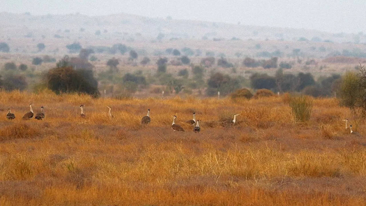 Jaisalmer