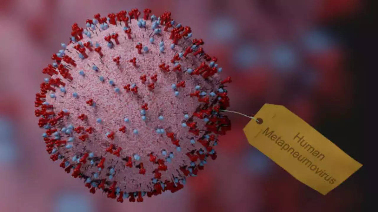 Human Metapneumovirus