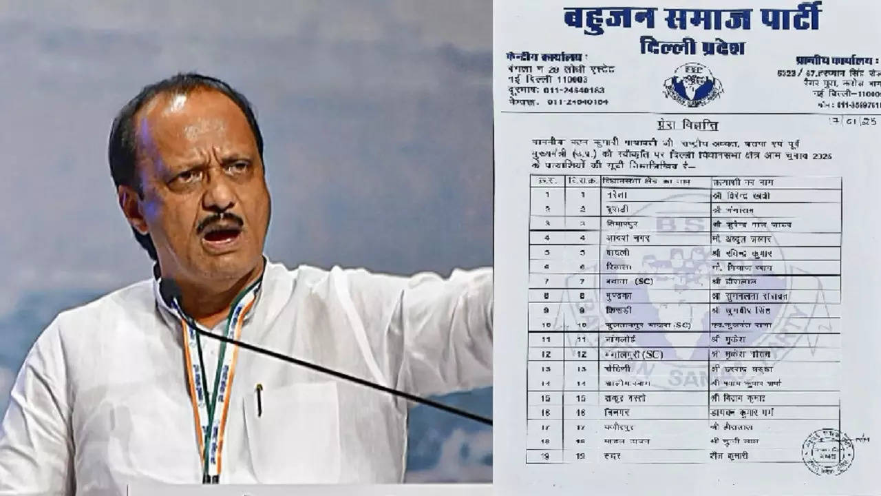 bsp ncp list