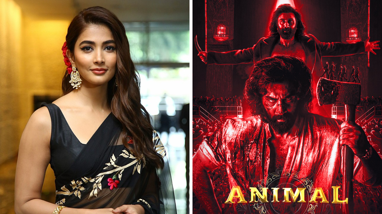 Pooja Hegde on Ranbir Kapoor's Animal