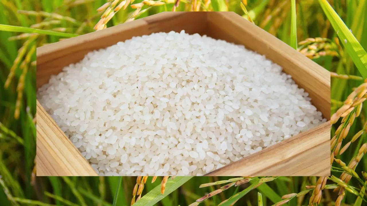 FCI rice, FCI rice price