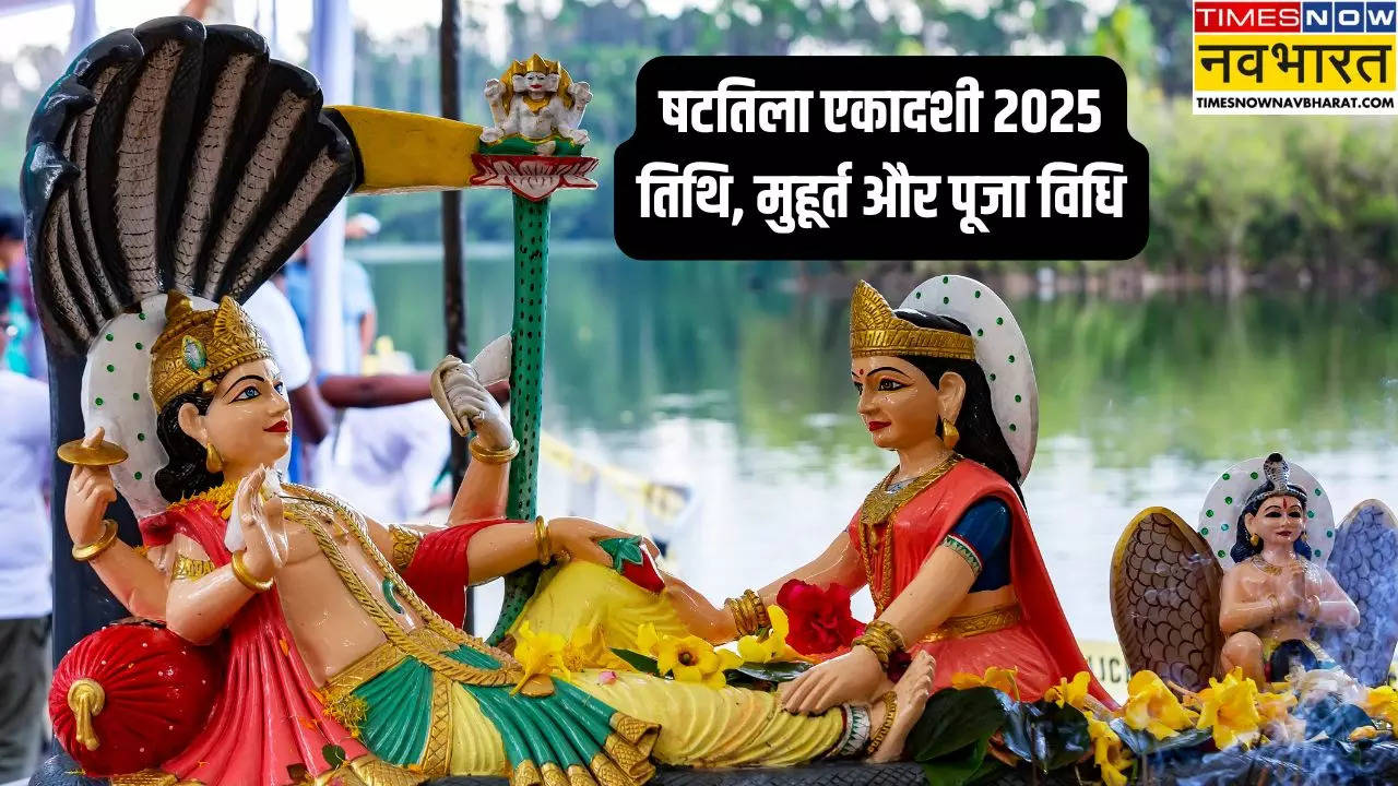 Shattila Ekadashi 2025 Date