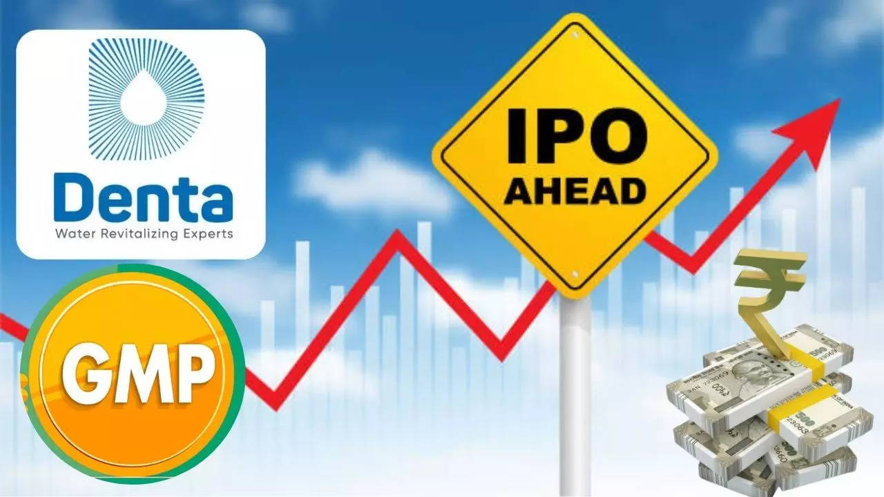 Denta Water And Infra IPO GMP