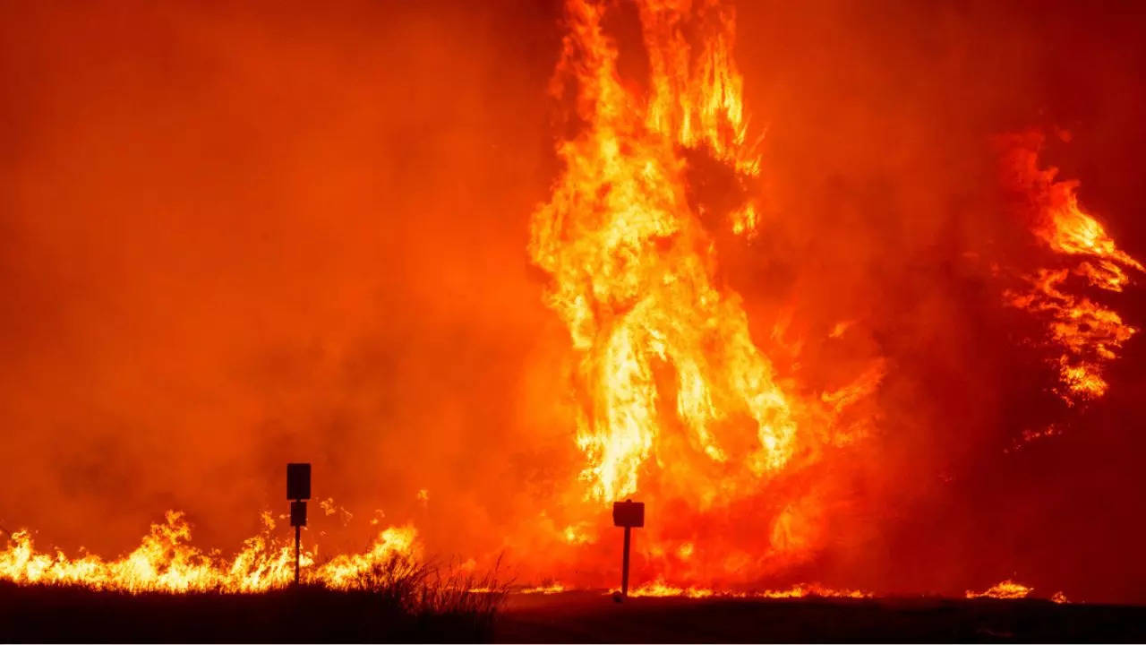 Los Angeles Wildfires