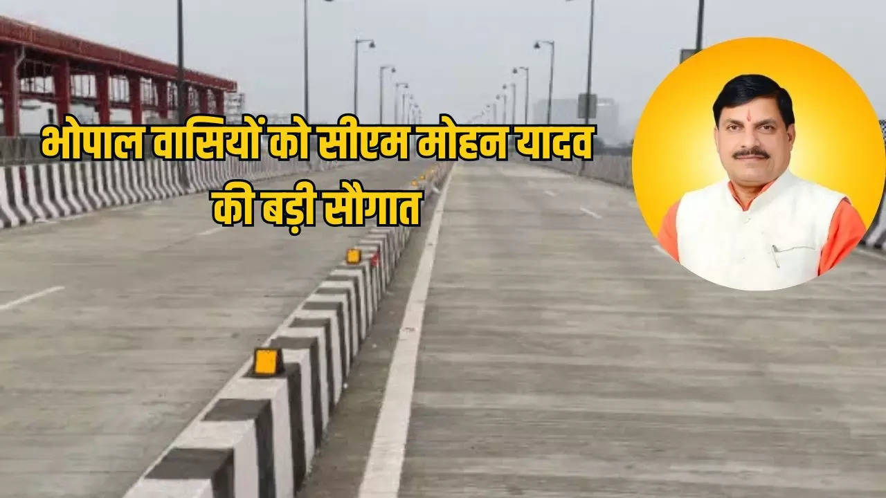 Bhopal Largest Flyover