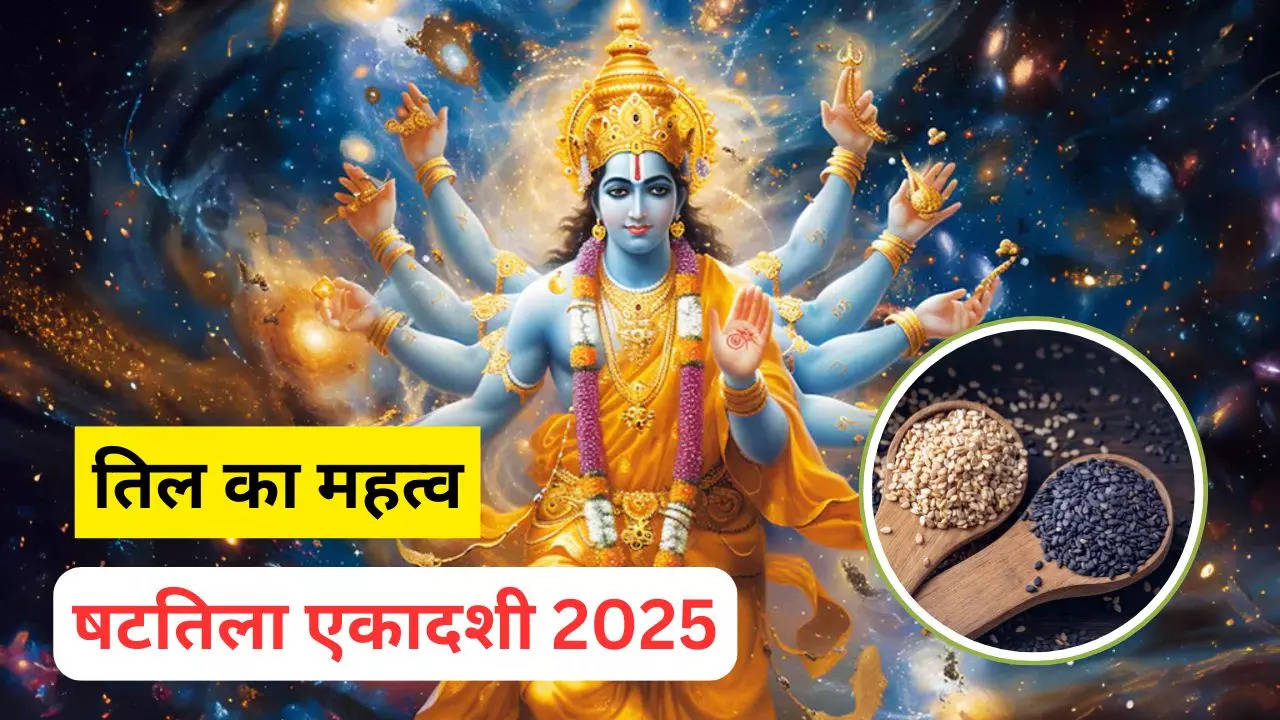 shattila ekadashi 2025 significance of til in hindi