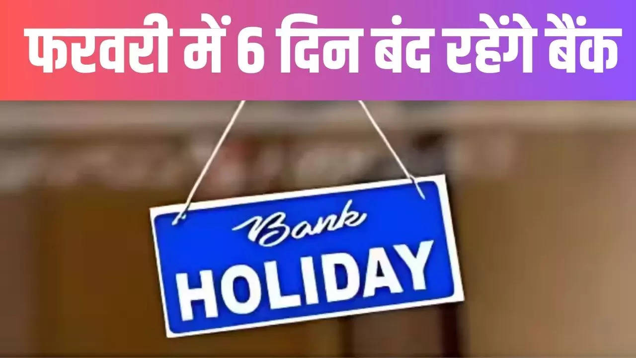 Delhi Bank Holidays February 2025 List