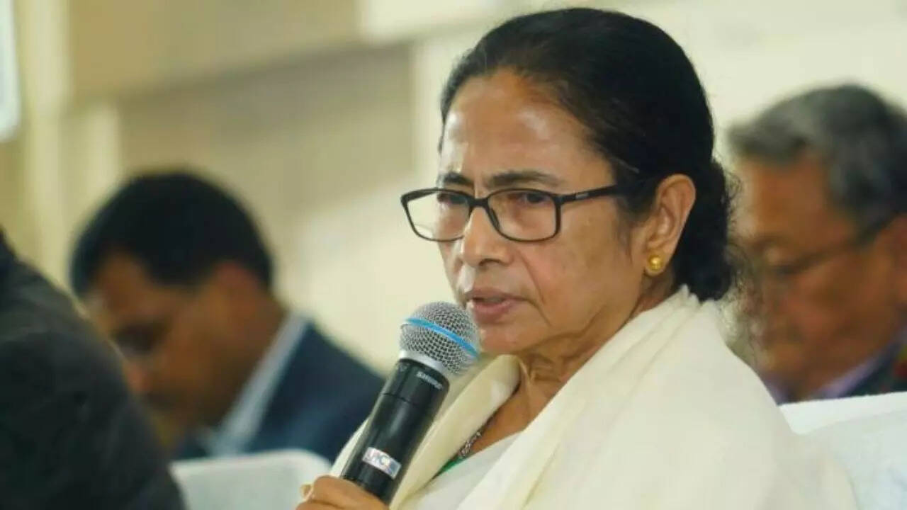 Mamata Panerry