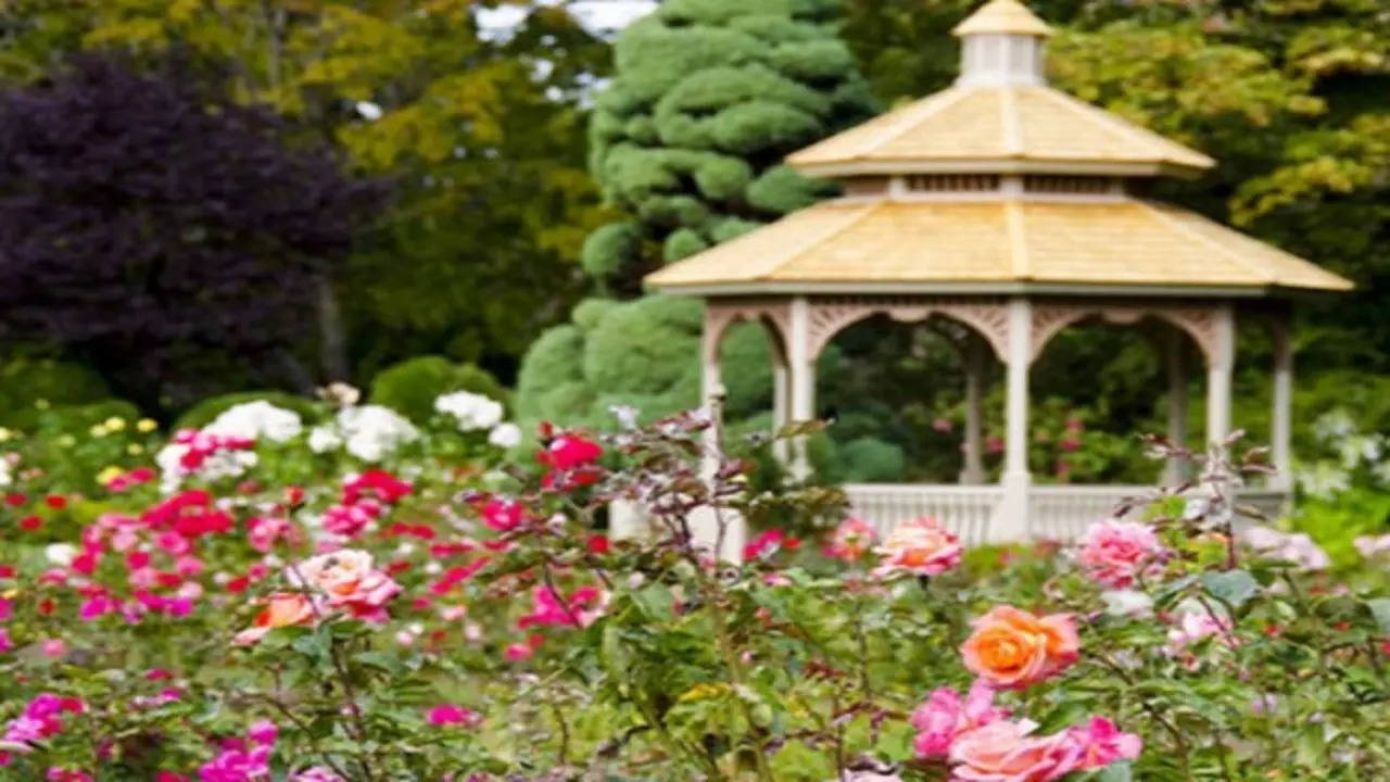 rose garden chandigarh