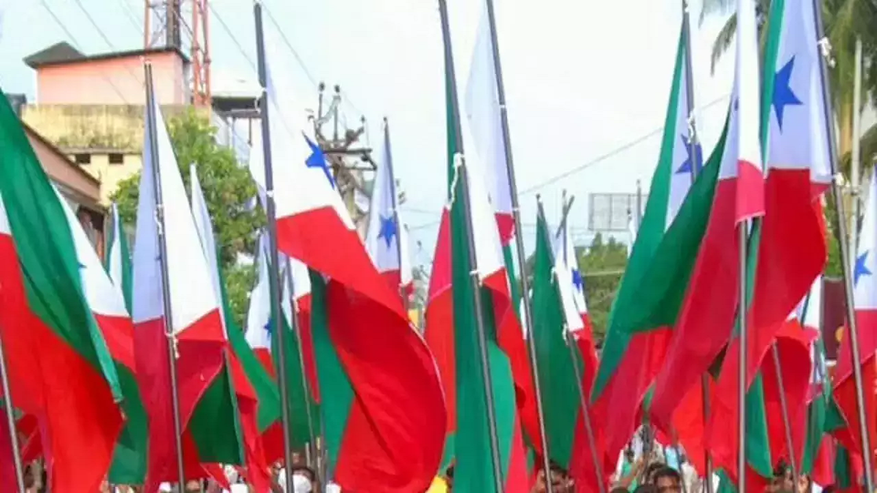 pfi flag