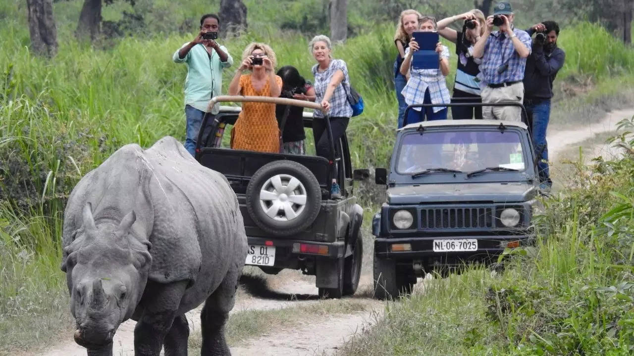 Kaziranga National Park