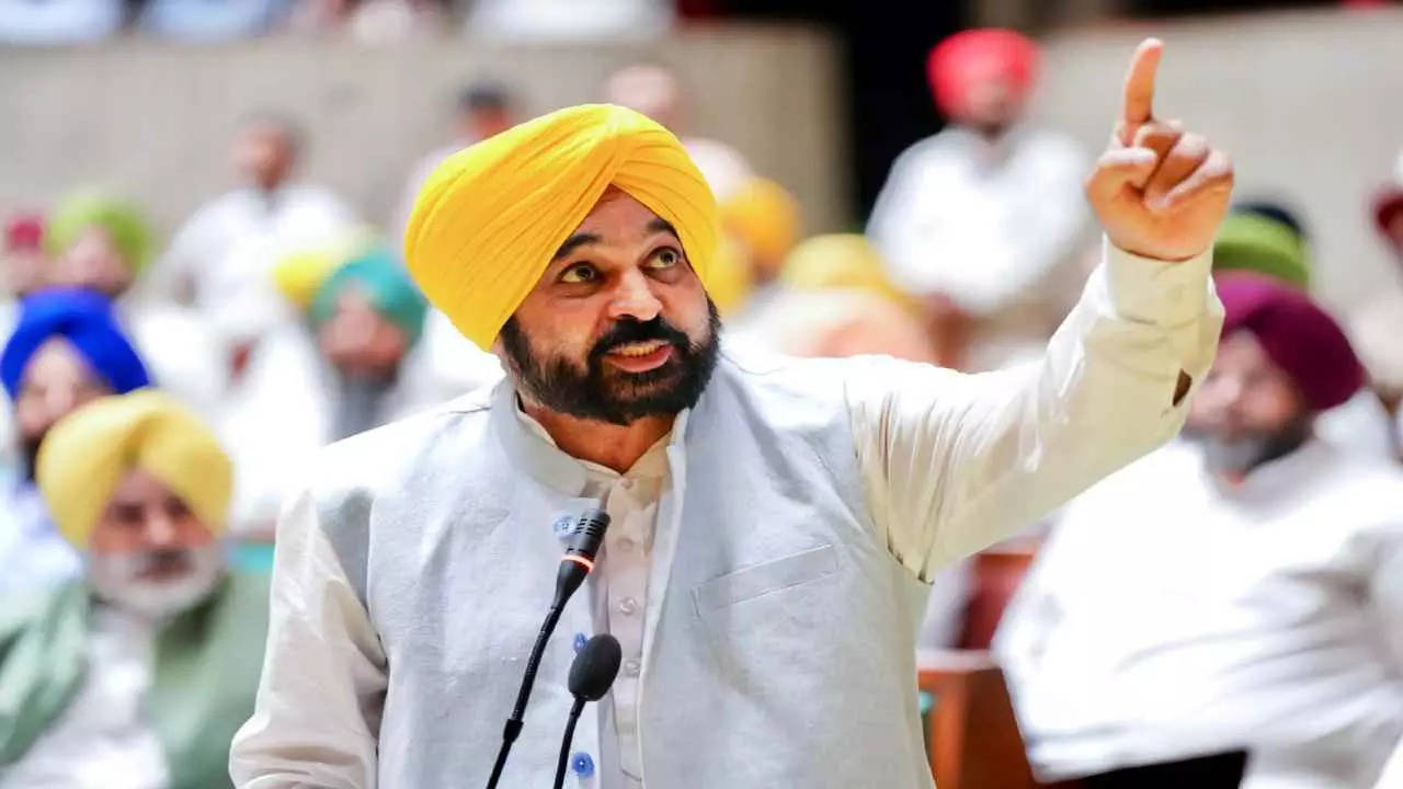 Bhagwant Mann Led Punjab Government Wins Confidence Vote Congress ...