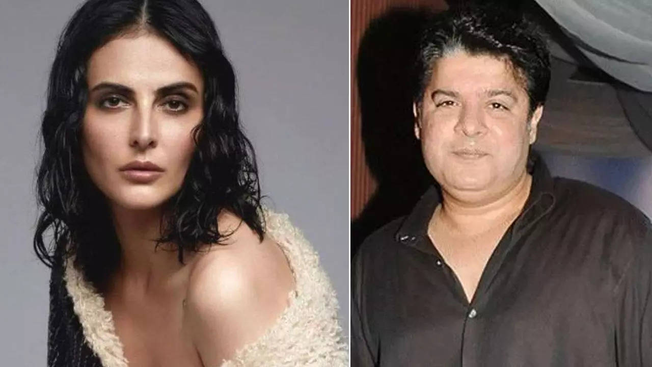 sajid khan and mandana karimi