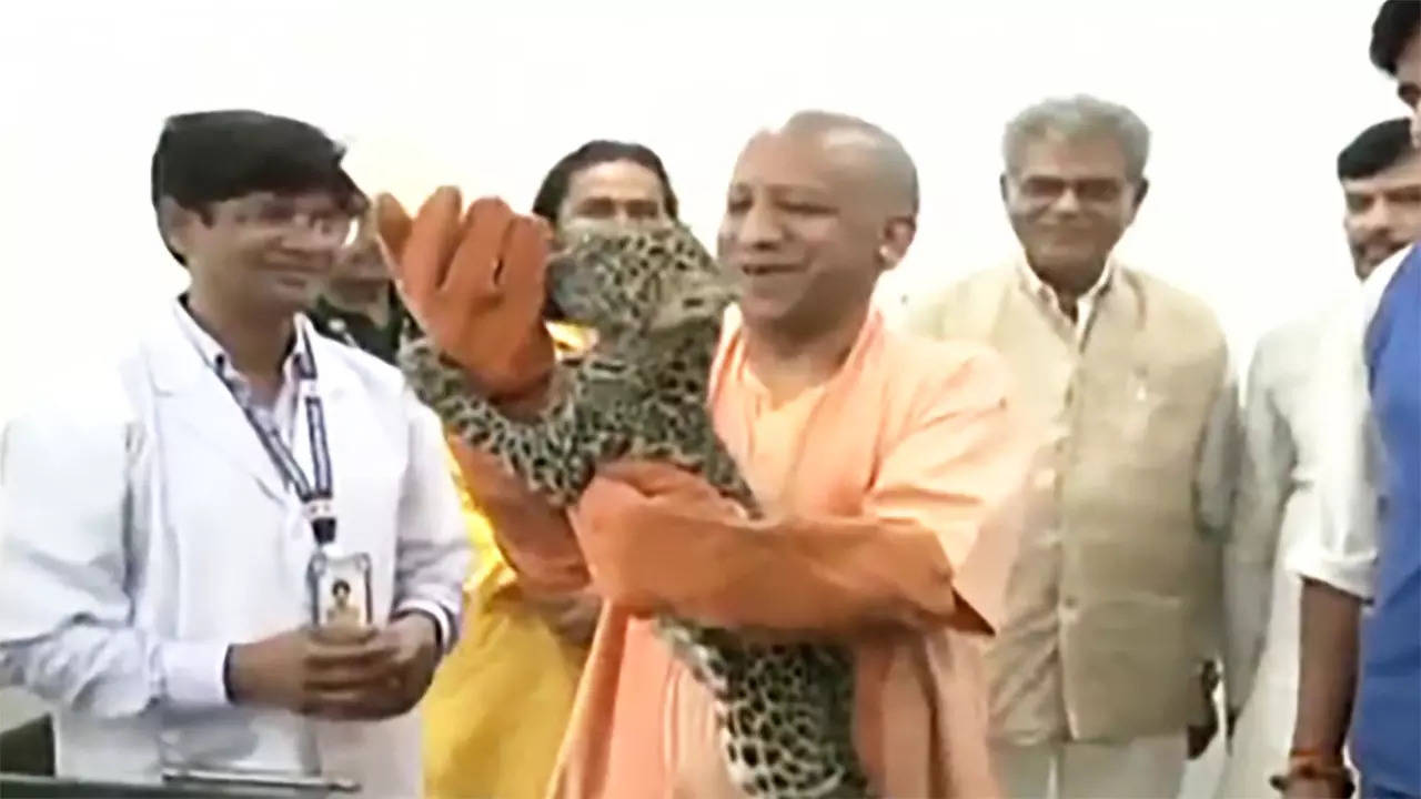 CM Yogi Fed Milk to Leopard Cubs