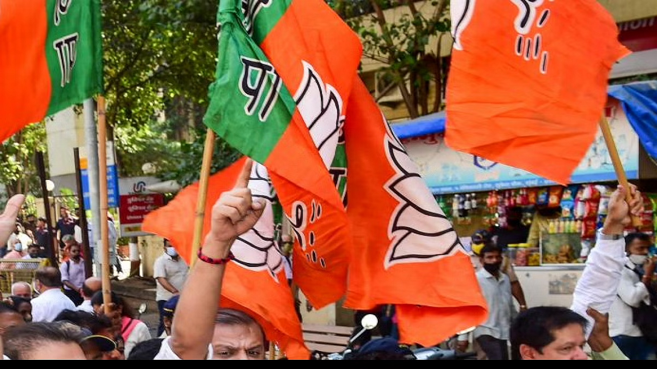 bjp flag