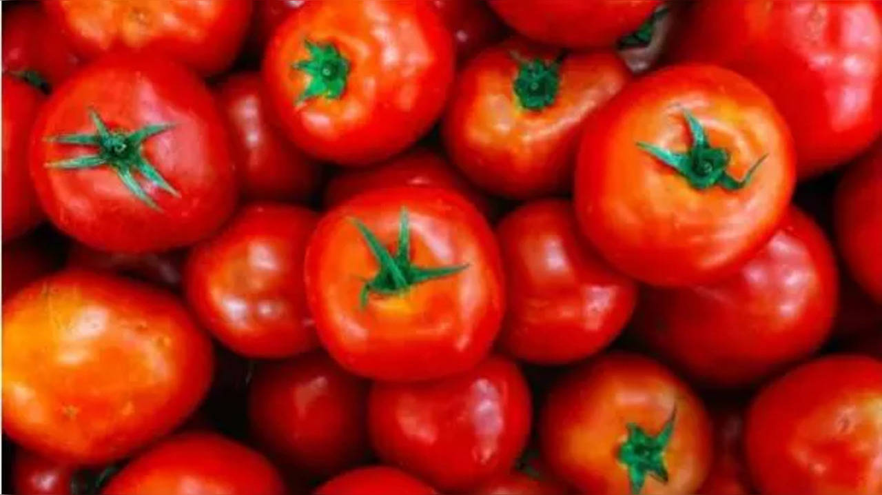 Disadvantages of Tomato: इन बीमारियों में भूलकर भी न करें टमाटर का सेवन, वरना सेहत को पहुंचा सकता है नुकसान