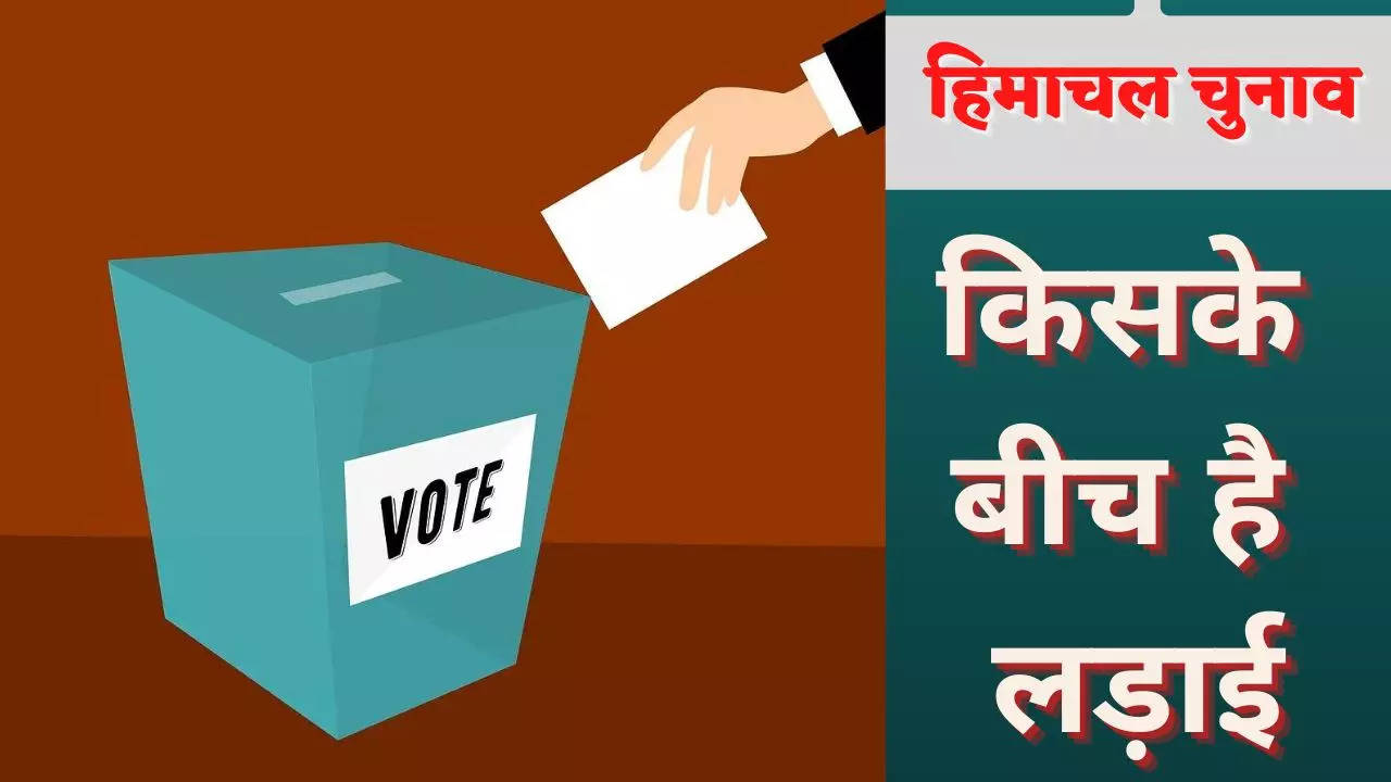 himachal election