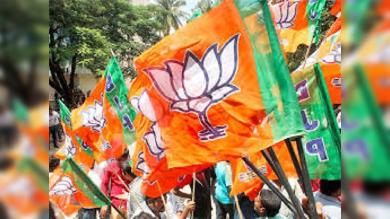 BJP Flags