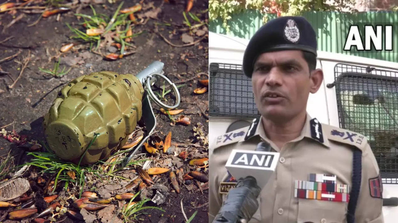 J&K: LeT Terrorist Arrested As Grenade Attack On Workers Of Uttar ...