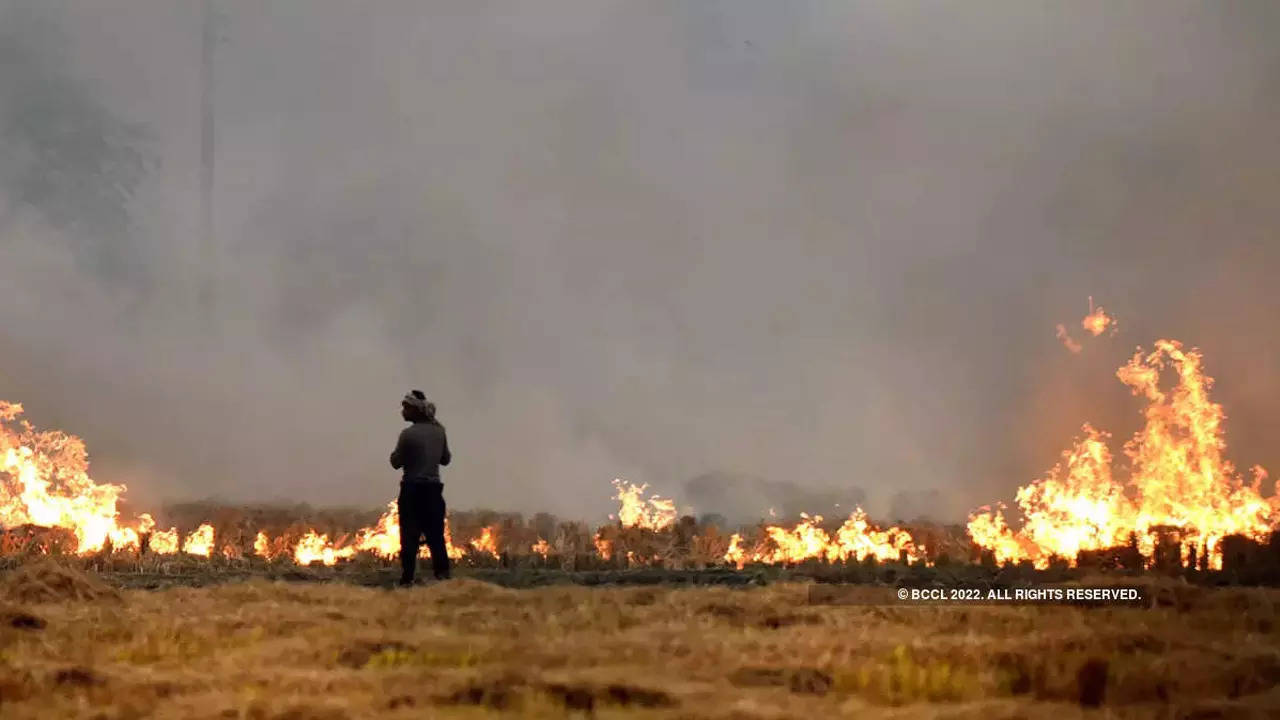 Records of stubble burning broken in Punjab