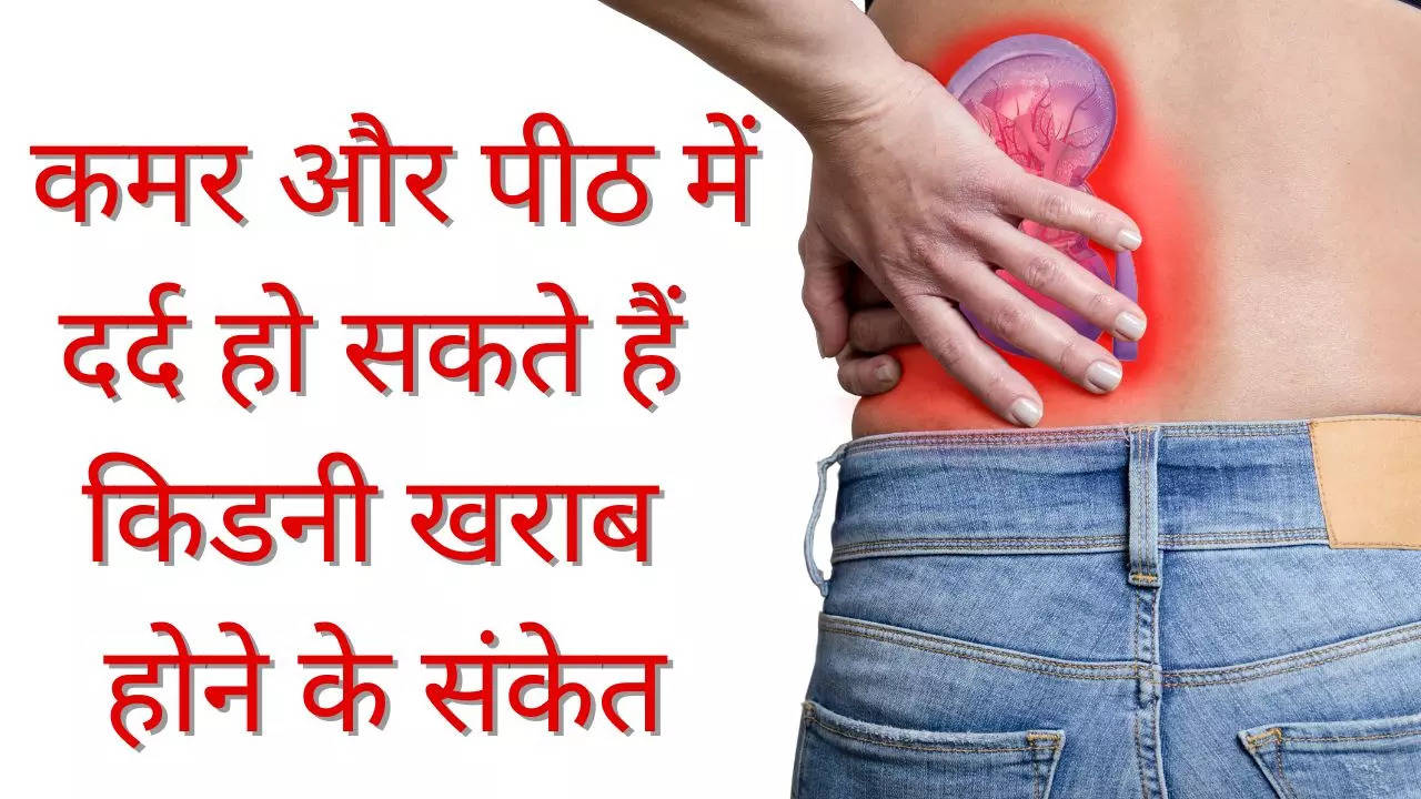 Kidney Problem: कमर और पीठ में दर्द हो सकते हैं किडनी खराब होने के संकेत, ऐसे करें पहचान