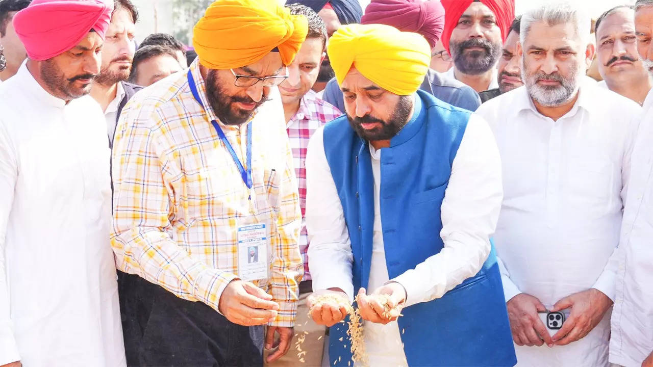 punjab cm bhagwant mann