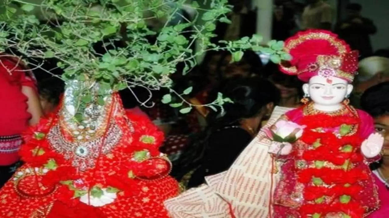 Tulsi Vivah 2022 Puja Vidhi, Muhurat, Aarti: तुलसी विवाह के दिन पढ़ें ये पूजा एवं ध्यान मंत्र, मिलेगा फल