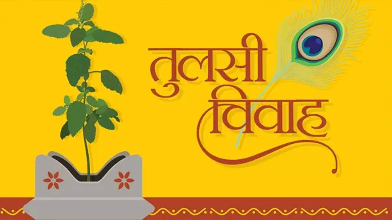 Happy Tulsi Vivah Wishes Images, Photos: तुलसी विवाह पर इन खूबसूरत तस्वीरों से भेजें शुभकामनाएं