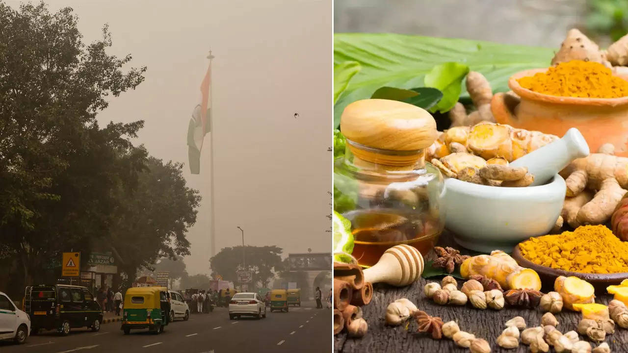 Delhi Pollution, Ayurved Tips