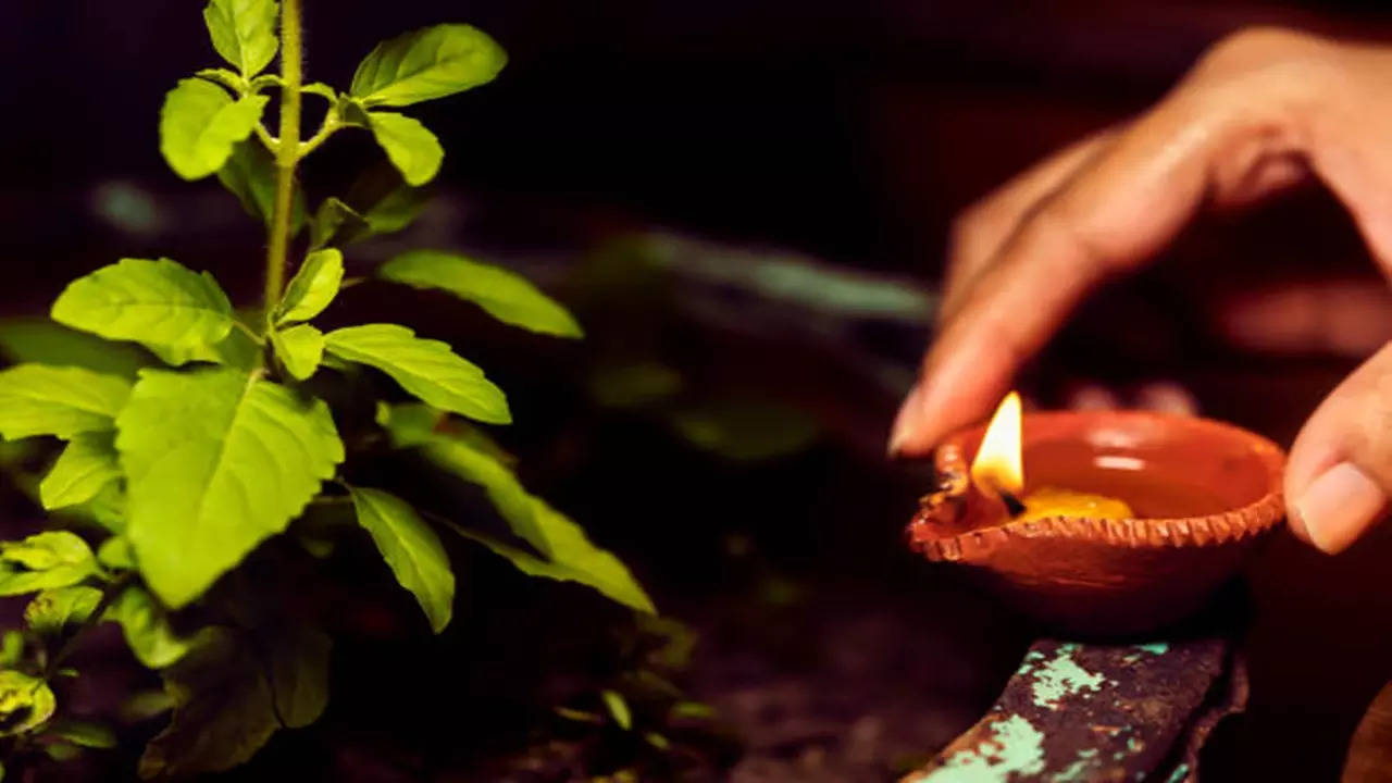 tulsi puja