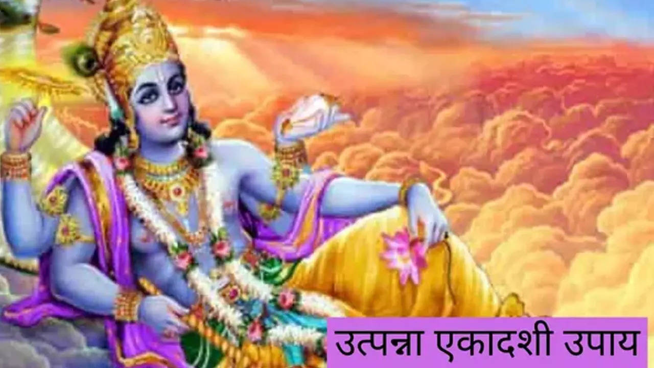 Utpanna Ekadashi 2022 Upay: उत्पन्ना एकादशी के दिन करें ये उपाय, हो जाएगा आपका भाग्योदय