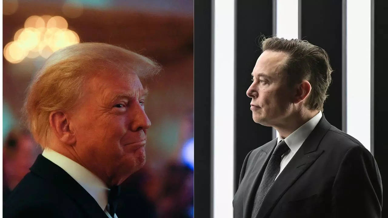 Elon Musk on Donald Trump