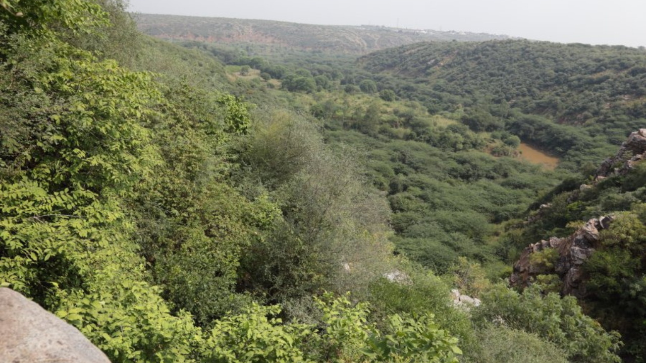 Faridabad Aravalli hill